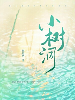小树洞