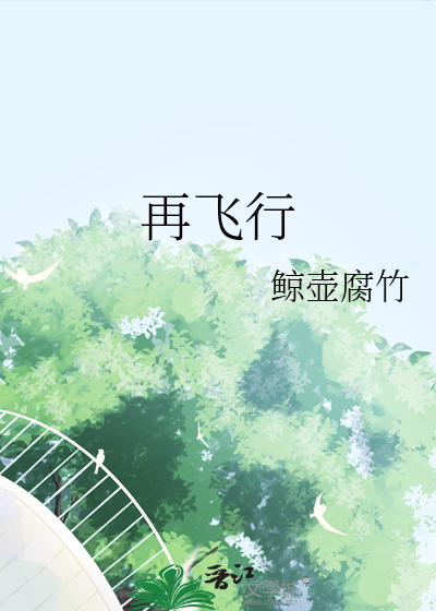 再飞行