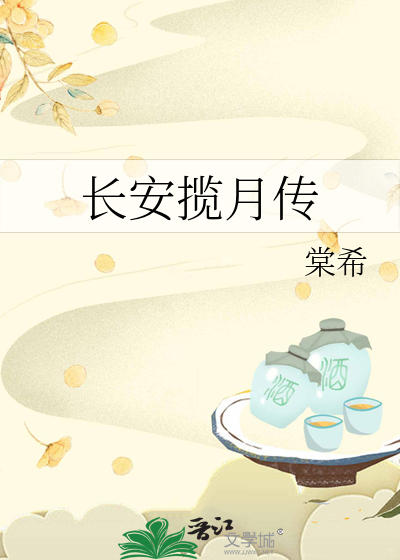 长安揽月传