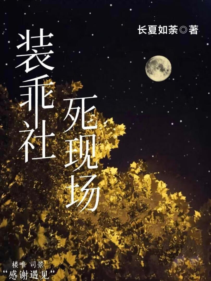 装乖社死现场