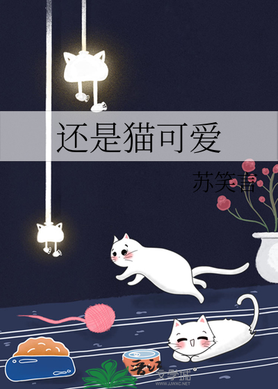 还是猫可爱