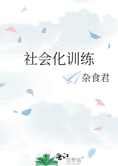 社会化训练