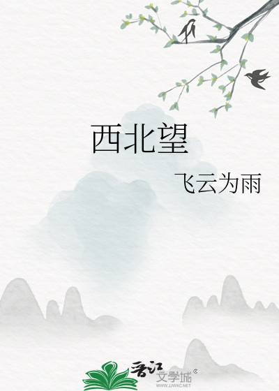 西北望